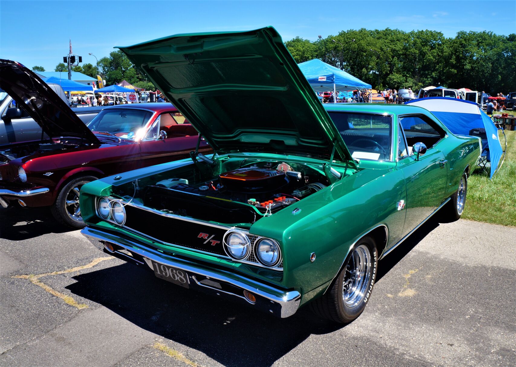 DSC04993 (2).JPG